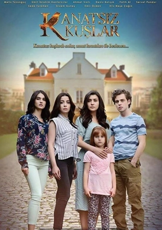 Птицы без крыльев/Бескрылые птицы