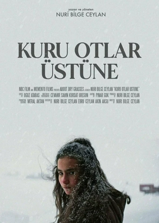 О сухой траве