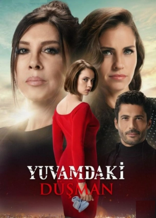 Враг в моем доме