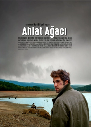 Дикая груша