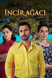 Фиговое дерево