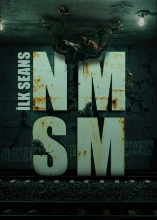 Первый сеанс: НМСМ