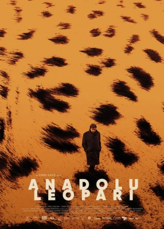 Анатолийский леопард