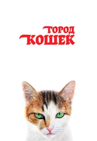Город кошек