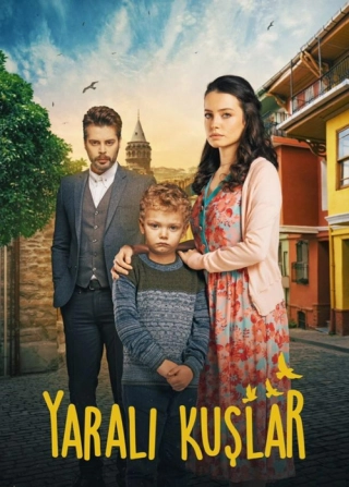 Раненые птицы