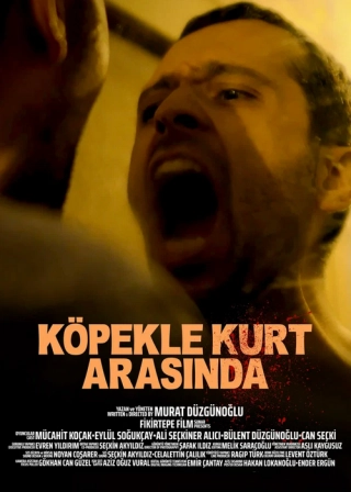 Меж псом и волком