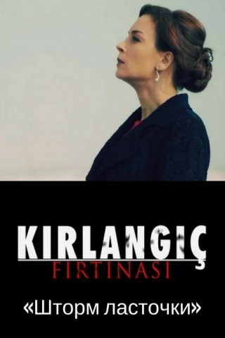 Шторм ласточки
