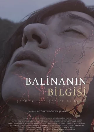 Мудрость кита