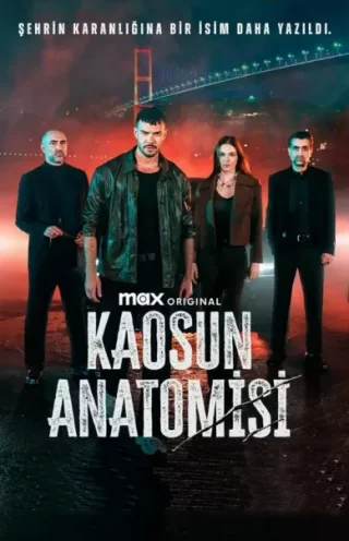 Анатомия хаоса